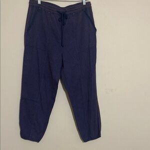 Anthropologie Blue Joggers Elastic waist Cuffs women M lagenlook vacation beach